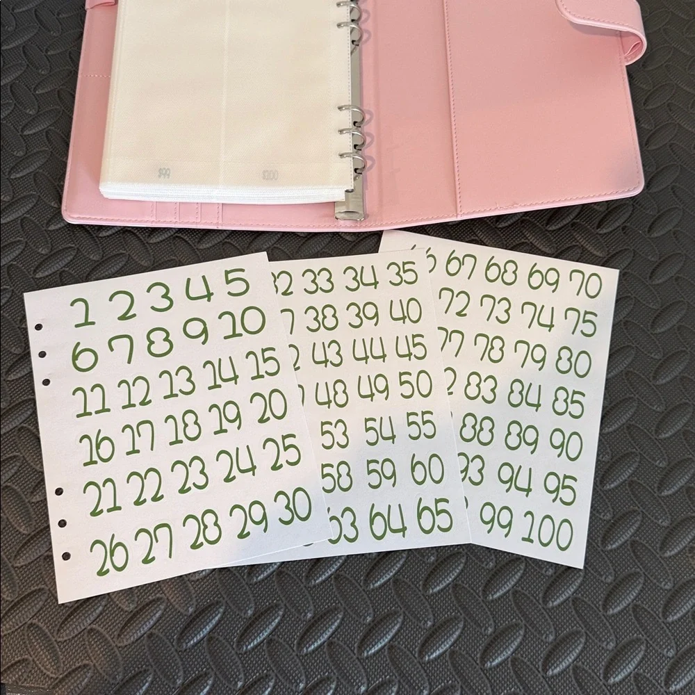 Pink Savings Challenge Envelope Organizer